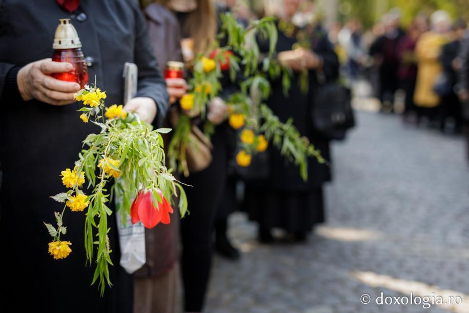 Stâlpări și flori / Foto: Oana Nechifor